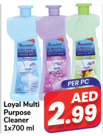 Day To Day Loyal Multi Purpose Cleaner 1x700 ml offer