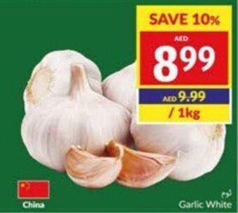 Viva Garlic White offer