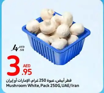 Carrefour Mushroom White, Pack 250G, UAE/Iran offer