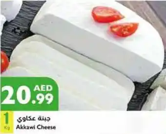 Istanbul Supermarket Akkawi Cheese offer