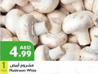 Istanbul Supermarket Mushroom White offer