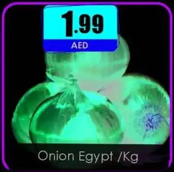 Amber Onion Egypt /Kg offer