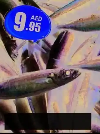 Amber Meval Fish /Kg offer