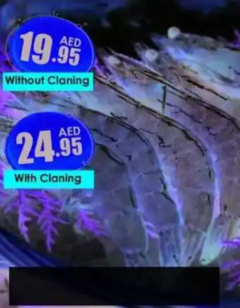 Amber Shrimps /Kg offer