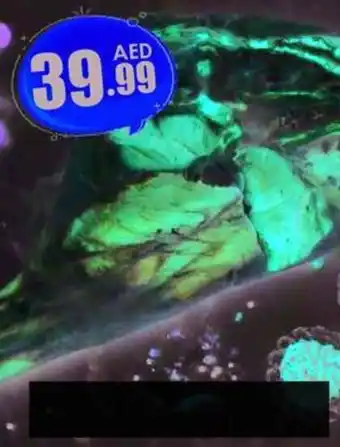 Amber Australia Lamb /kg offer