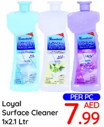 Day To Day Loyal Surface Cleaner 1x2.1 Ltr offer