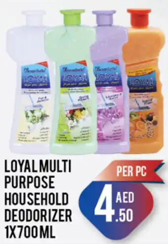 Day To Day LOYAL MULTI PURPOSE HOUSEHOLD DEODORIZER 1X700 ML offer
