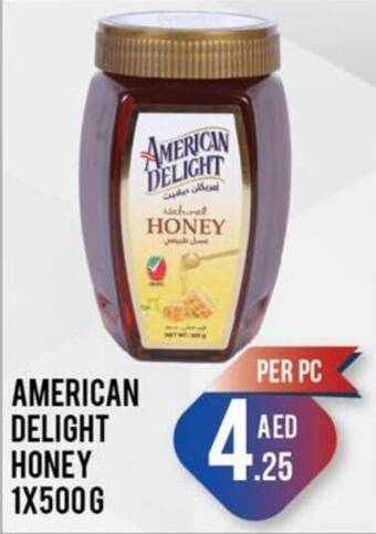 Day To Day AMERICAN DELIGHT HONEY 1X500G offer