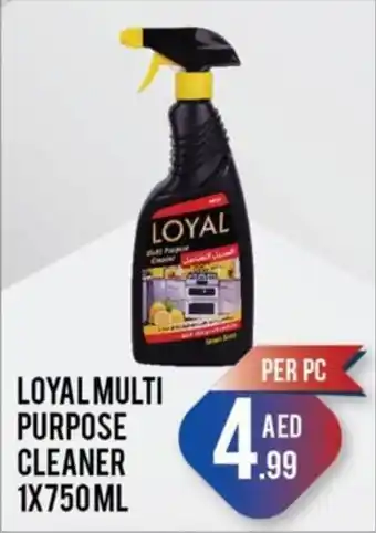 Day To Day LOYAL MULTI PURPOSE CLEANER 1X750ML offer