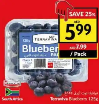 Viva Terraviva Blueberry 125g offer