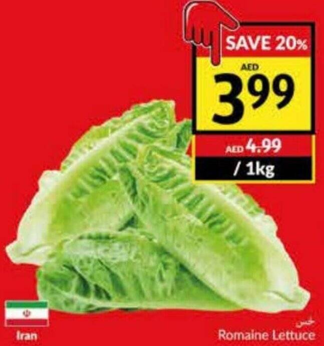 Viva Romaine Lettuce 1kg offer