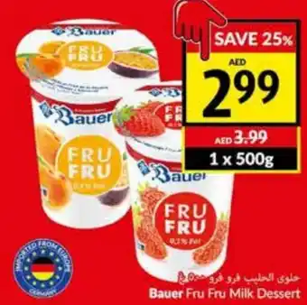 Viva Bauer Fru Fru Milk Dessert 500g offer
