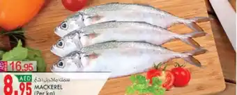 KM Trading MACKEREL (Per kg) offer