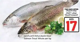Nesto Salmon Trout Whole offer