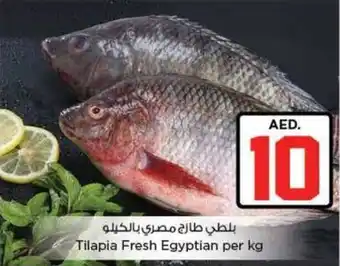 Nesto Tilapia Fresh Egyptian offer