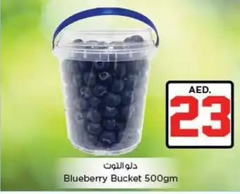 Nesto Blueberry Bucket 500gm offer