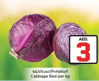Nesto Cabbage Red offer