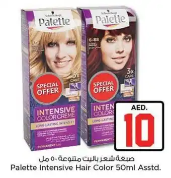 Nesto Palette Intensive Hair Color 50ml offer