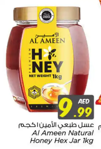 Nesto Al Ameen Natural Honey Hex Jar 1kg offer