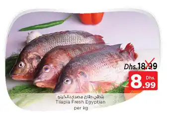 Nesto Tilapia Fresh Egyptian per kg offer