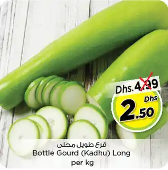 Nesto Bottle Gourd (Kadhu) Long offer