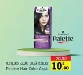 Sharjah Co-op Palette Hair Color Asst. offer