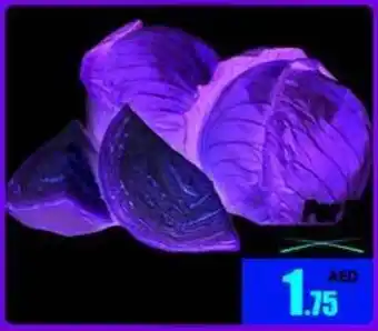 Armed forces cooperative society Cabbage White Round Iran per kg offer