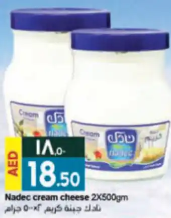 Rawabi Market Nadec cream cheese 2X500gm offer