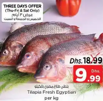 Nesto Tilapia Fresh Egyptian per kg offer