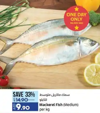 Lulu Hypermarket Mackerel Fish (Medium) per kg offer