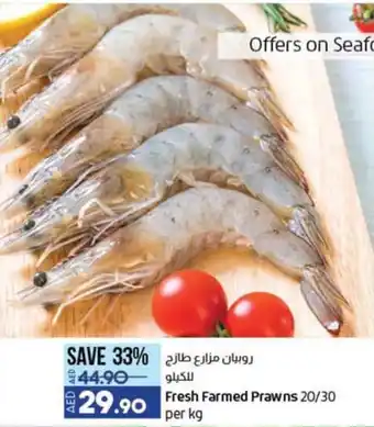 Lulu Hypermarket Fresh Farmed Prawns 20/30 per kg offer