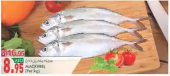 KM Trading MACKEREL offer