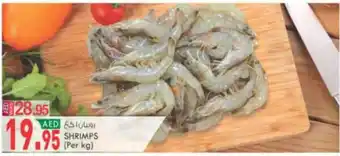 KM Trading SHRIMPS offer