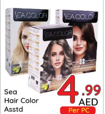 Day To Day Sea Hair Color Asstd offer