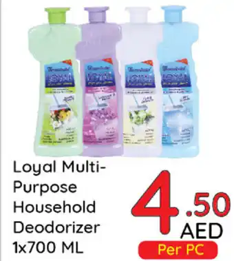 Day To Day Loyal Multi-Purpose Household Deodorizer 1x700 ML offer