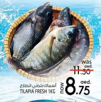 Safari Hypermarket TILAPIA FRESH 1KG offer