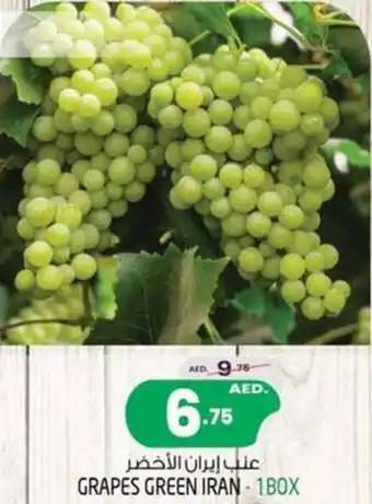 Safari Hypermarket GRAPES GREEN IRAN - 1BOX offer