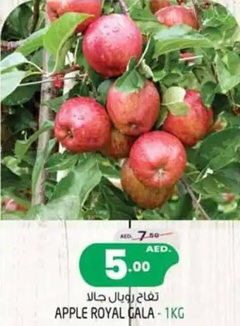 Safari Hypermarket APPLE ROYAL GALA-1KG offer