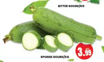 Al Madina Hypermarket SPONGE GOURD/KG offer