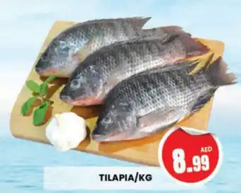Al Madina Hypermarket TILAPIA/KG offer