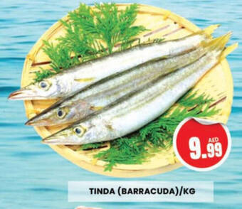 Al Madina Hypermarket TINDA (BARRACUDA)/KG offer