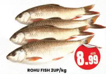 Al Madina Hypermarket ROHU FISH 2UP/kg offer
