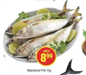 City Retail Supermarket Mackerel Per Kg offer