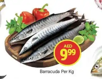 City Retail Supermarket Barracuda Per Kg offer