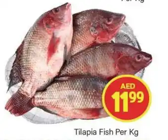 City Retail Supermarket Tilapia Fish Per Kg offer
