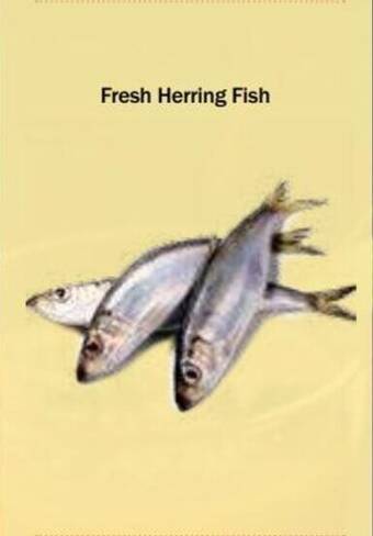 Choithrams Fresh Herring Fish offer