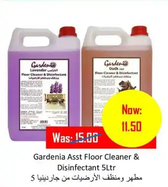 Gardenia Asst Floor Cleaner & Disinfectant 5Ltr