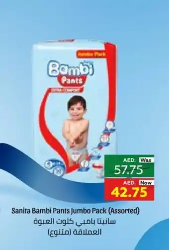 Al Ain Co-op Sanita Bambi Pants Jumbo Pack (Assorted) offer