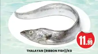 Al Madina THALAYAN (RIBBON FISH)/KG offer