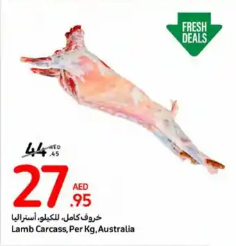Carrefour Lamb Carcass, Per Kg, Australia offer